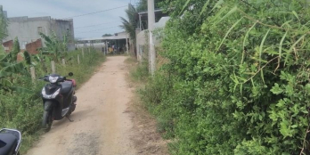 Cần bán lô đất Từ Tâm diện tích 900 m2 ( ngang 30m x dài 30m )