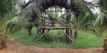 Dọn nhà vườn chuẩn bị đón Xuân. Diện tích 4000m2 có 300m2 thổ cư