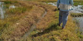 Cần bán lô đất lúa an thạnh khu ba tàu.