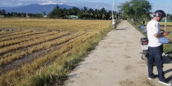 Giá chuyển nhượng nhanh 3000m đất ruộng Thành Hải.