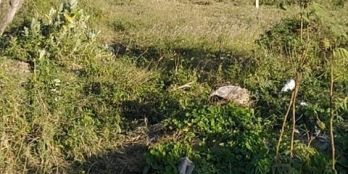 Mẹ mình cần tiền nên bán ạ. 2 lô đất ở Long bình