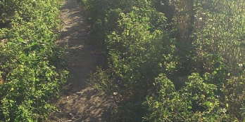 Cần B=bán lô đất sau lưng tỉnh đội...