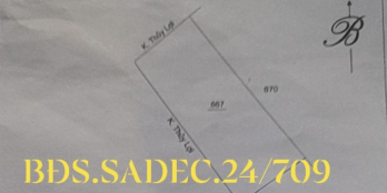 2 công đất lúa trồng bơ  kênh thủy lợi 2 bờ