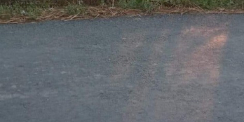 Cần bán đất đường huyện 45B xã Phú Mỹ, huyện Tân Phước, Tiền Giang