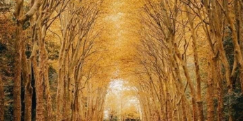 Cần bán lô đất 95m2 khu định cư mới xã Ninh Tiến,Thành phố Ninh Bình