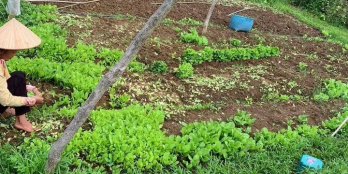 BÁN ĐẤT BẢN PHƯỜNG CHIỀNG NGẦN SƠN LA