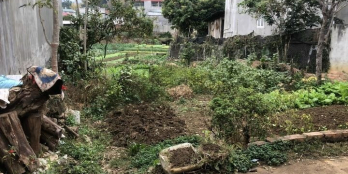 Bán mảnh đất bản Mé, phường Chiềng Cơi, tp Sơn La, gần bệnh viện Cuộc Sống