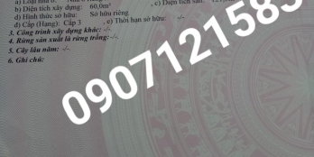 Bán nền ngang 10m ×24m tách được 2 thửa tặng căn nhà đẹp có sở hửu nhà bao đẹp.