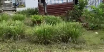 Bán Đất mặt tiền Đường Nguyễn Văn Lâu Phường 8