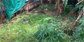 BÁN NỀN ĐẸP  - Phường Tân Ngãi, Tp Vĩnh Long