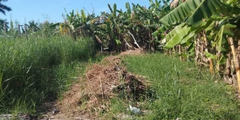 Bán nền hẻm xe hơi phường 3,  cách đường Mậu thân 2