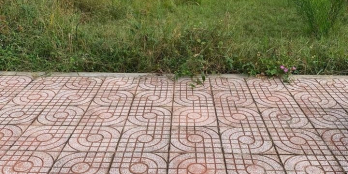 Bán nền phường 9 đường D1, nền đẹp không dính cây xanh