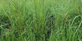 400tr có ngay nền phường 5 Cách khu Minh Linh 200m