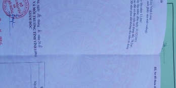 Nhà mặt tiền 14/9 siêu đẹp rất thích hợp để kinh doanh