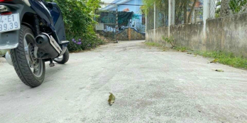 Bán nền đẹp gần công viên THVL, xe Ô tô chạy tới đất ---------------------------