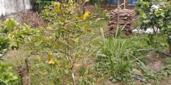 Can ban dat nam ngay mat tien lo. 7×60