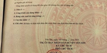 BÁN ĐẤT TRỒNG CÂY LÂU NĂM TÂN TIẾN YÊN SƠN TUYÊN QUANG