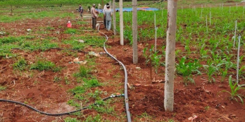 NỢ NGÂN HÀNG BÁN 7500m2 ( 1000m2 THỔ CƯ ) HUYỆN ĐỨC TRỌNG GIÁ RẺ