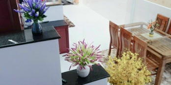 Nhà chính chủ bán 650 triệu/ sổ riêng, đường Gò Hưu, LH 0789..114.979