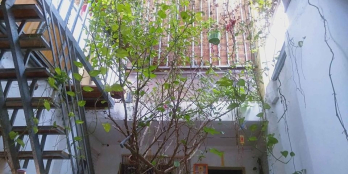 nhà hai tầng trên đất 135 m2  mặt phố