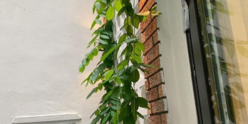 Bán nhà Nghi Tàm,Tây Hồ,diện tích 46m2,4 tầng,giá 5,85 tỷ