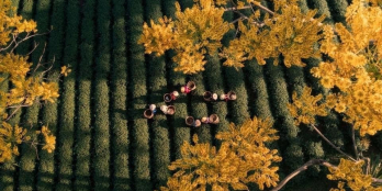 Tôi cần bán 22x25m đất cách quốc lộ 20 chỉ 4 phút di chuyển, giá 870tr Bảo Lộc