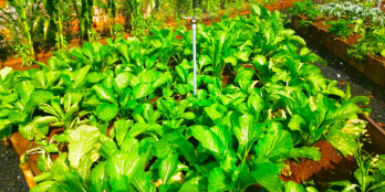 Eden Hills đất nền thổ cư đã có sổ chỉ còn vài lô duy nhất. View đồi núi săn mây