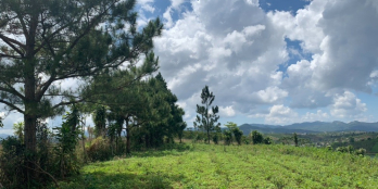 Sắp mất cọc cần sang lỗ mảnh đất 564m2 ven sông đường DT725 Bảo Lộc, Lâm Đồng