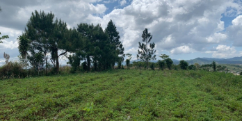 Chỉ 1,5 triệu có ngay 1m2 đất mặt Hồ giữa lòng TP Bảo Lộc, Lâm Đồng.