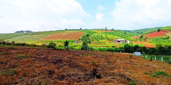 Cần bán hơn 3 sào gần Kiwuki, xã Đam Bri, Bảo Lộc