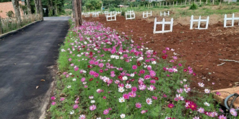 Eden Hills đất nền tại Lâm Hà 3 tỷ 45  lô 700m thổ cư 250 đường 20m