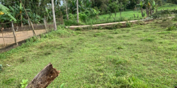 Vị trí : Điện Tiến - Điện Bàn - Quảng Nam giáp ranh Đà Nẵng