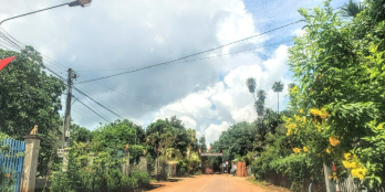 Bán vườn xoài có sẵn hồ cá 1600m2 và 500m2 thổ cư, đường bê tông, view hồ .