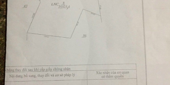 Chính chủ bán gấp đất Cao su, Điều Đồng Phú, Bình Phước, doanh thu gần 1 tỷ/năm