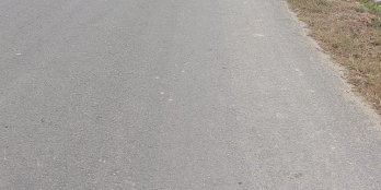 Đất mặt đường tỉnh lộ 515b Đông Hoàng giá nhỉnh 1 tỷ x