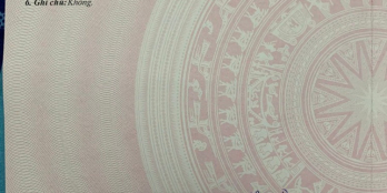 Chính chủ gửi bán nhanh lô đất Xã Hựu Thạnh, đường DT 824, Thị Trấn Đức Hoà, shr