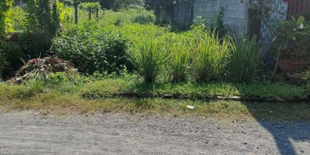 Chủ gửi lô đất đường Tỉnh Lộ 15. Cách Ngã 4 Tân Quy chỉ 800m. Sổ riêng