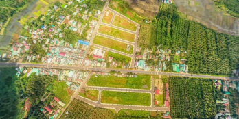 ??? Khai Lộc Đầu Xuân Tặng "Vàng" Cho Khách Hàng Mau Mắn mua đất đầu Năm