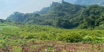 Bán gấp 2000m2, 400m2 thổ cư tt Nông Trường, đường oto có nhà ở. 0942365111