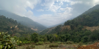 Bán gấp lô đất 2500m2, MT50m Lủ Khấu, Tả Phìn, Sapa, oto vào đất. 0942.365.111