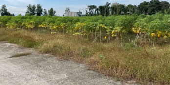 Bán đất Sông Xoài - Phú Mĩ - BRVT ngay đường Võ Văn Kiệt 374m2 giá 1tỉ 950