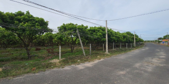 Cần bán gấp lô đất đẹp diện tích 500m2 Bình Châu sổ riêng