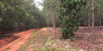 Lô đất 120tr/sào, 2 mặt tiền đường, gần liên xã - liên huyện, sẵn sổ