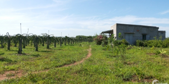 Bán đất tặng lộc đầu xuân, đất mặt suối -  5295m2 giá 847 triệu