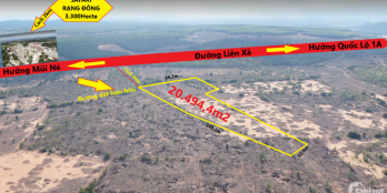 2HA Bình Tân cách đường liên xã 40m - Giá tốt 123k/m2