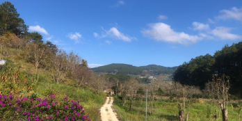 Đất đèo Mimosa Đà Lạt chính chủ sổ sách đầy đủ