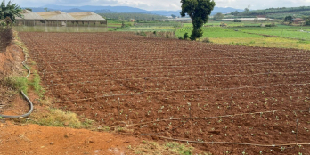 Cần bán lô đất 6000m2 ngay P5 - Tp.Đà Lạt