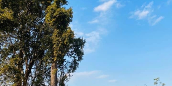 Bán khu nghỉ dưỡng - nhà vườn 7ha tại Đức Trọng - Lâm Đồng