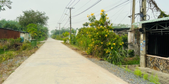 Đất vườn củ chi quy hoạch đất ở nông thôn 566m2 giá rẻ