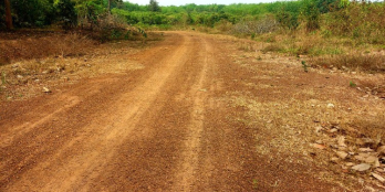 bán đất sào giá rẻ kế bên knc ladana 500m lộc ninh bình phước